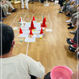 ナース考案のレクビリ。
