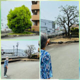 今日も風景は流れる。