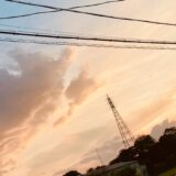 夏と秋の間で。