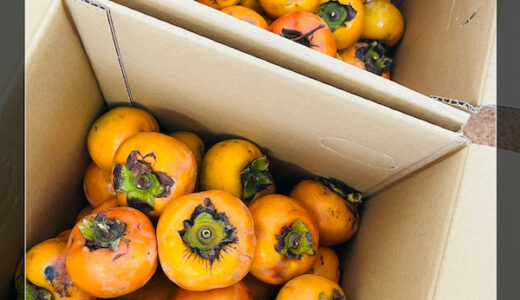 季節を食する幸せ。