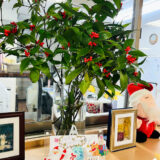 千両役者が咲き誇る。