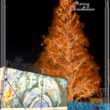 22mのクリスマスツリー。