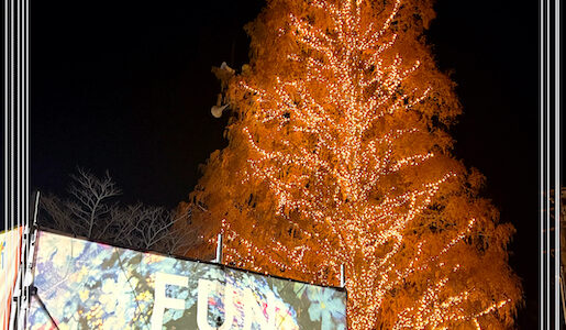 22mのクリスマスツリー。