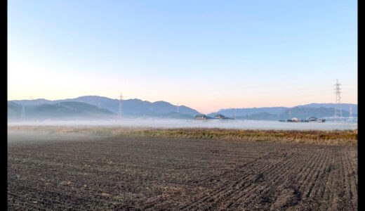 朝は瞬いている。