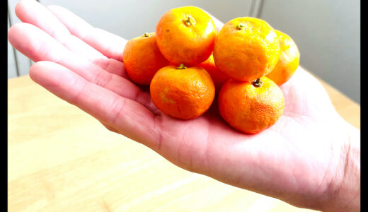 オレンジ・シークヮーサー。