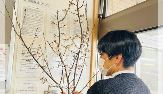 満開カウントダウン。